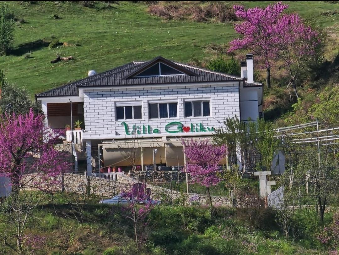 Villa Goliku Pestani المظهر الخارجي الصورة